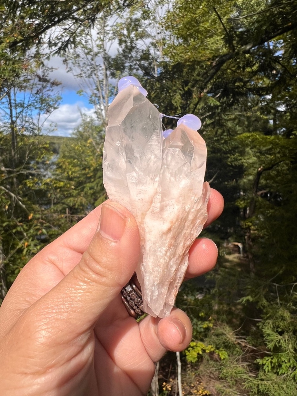 Pink (6) lemurian Quartz cluster | crystal
